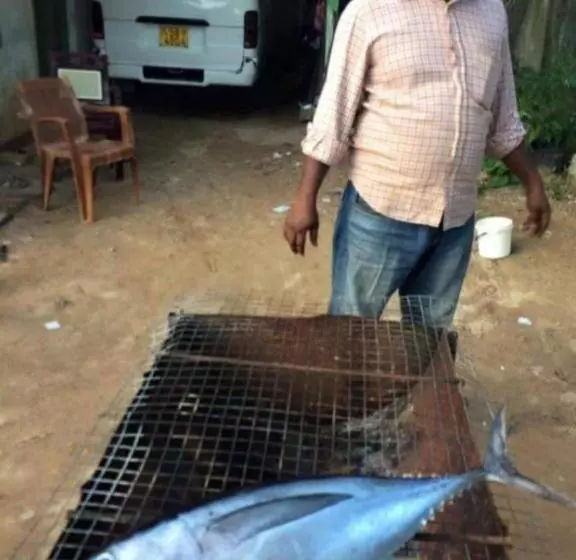 Aamiaismajoitus (B&B) Sandaru Surffing Inn