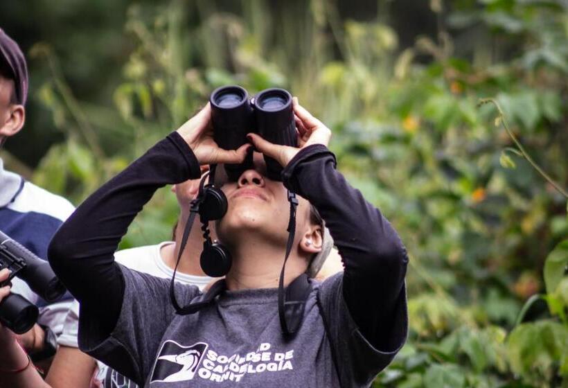 Hacienda Venecia Hostel