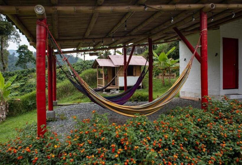 Hacienda Venecia Hostel