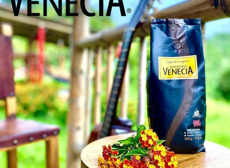 Hacienda Venecia Hostel