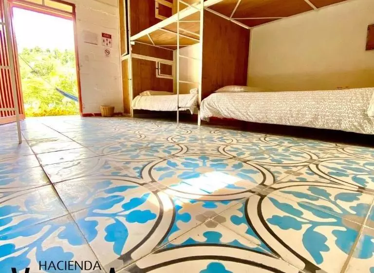Hacienda Venecia Hostel