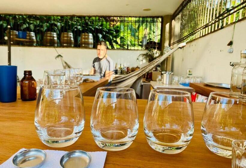 Hacienda Venecia Hostel