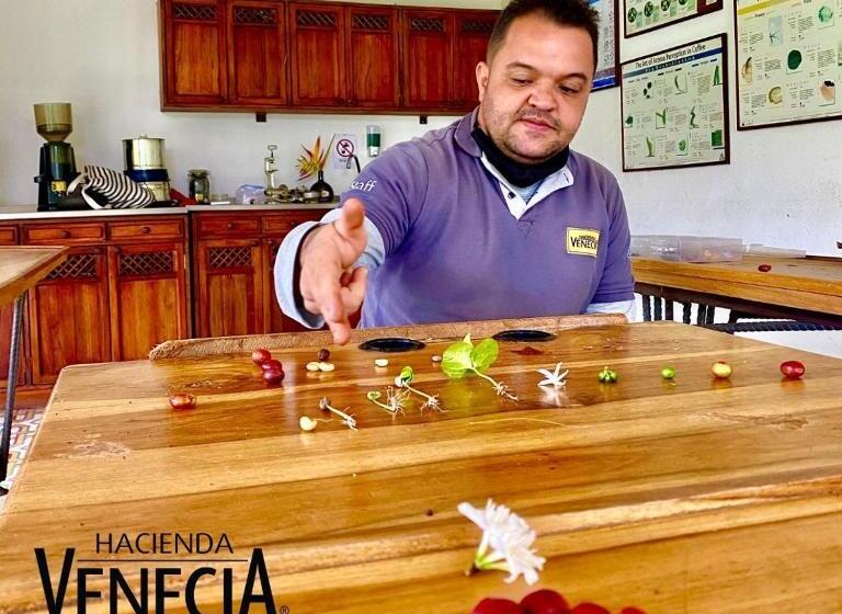 Hacienda Venecia Hostel