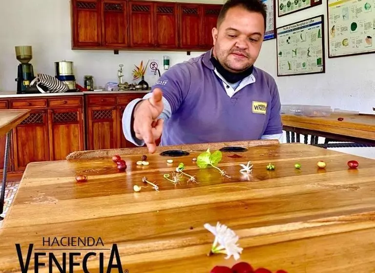 Hacienda Venecia Hostel
