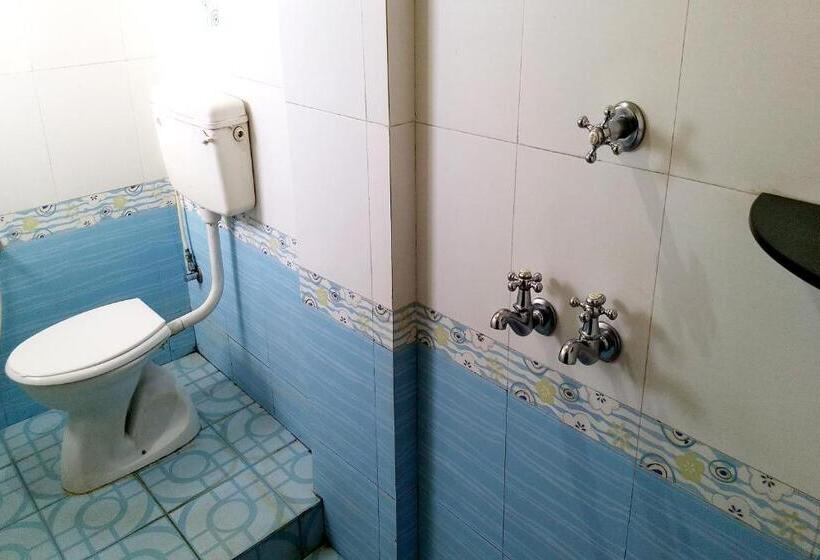 Отель Ganga Palace