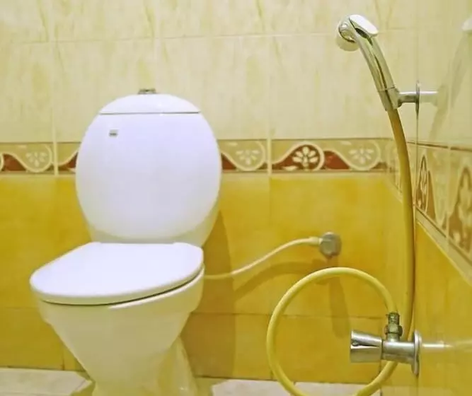 Hotelli Ganga Palace