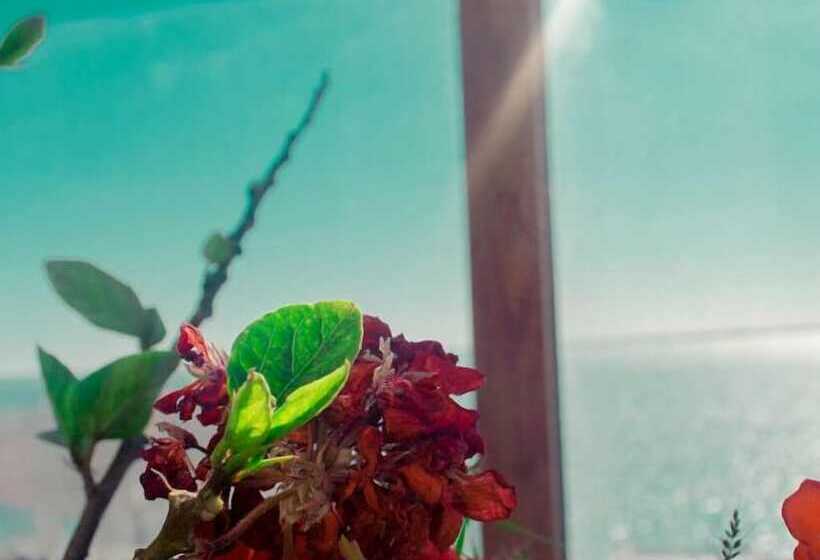 בית מלון כפרי Hostel Imlili