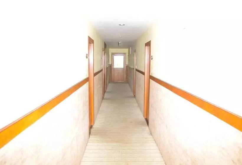 ホテル Oyo Rooms Mvp Colony Sector 1