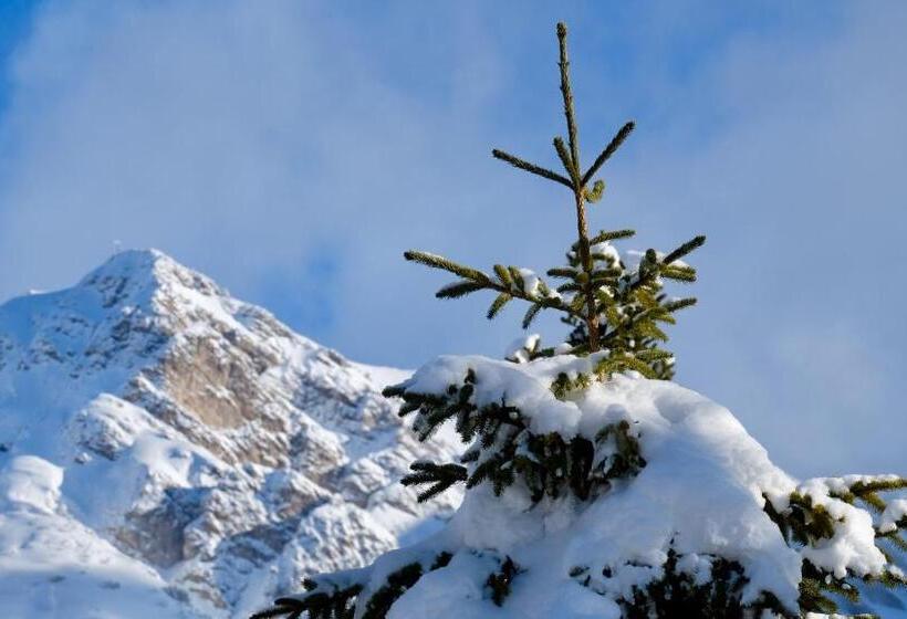 فندق صغير "0" Sterne  Weisses Rössl In Leutasch/tirol