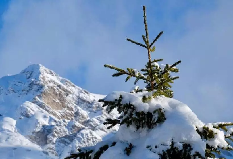ユースホステル "0" Sterne  Weisses Rössl In Leutasch/tirol