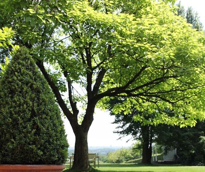 민박 Boutique Hotel Villa De Proosdij