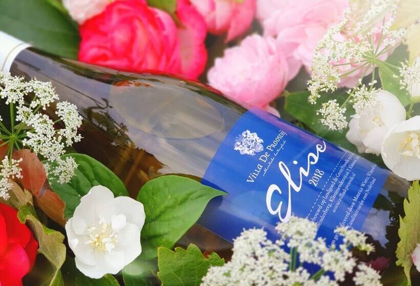 민박 Boutique Hotel Villa De Proosdij