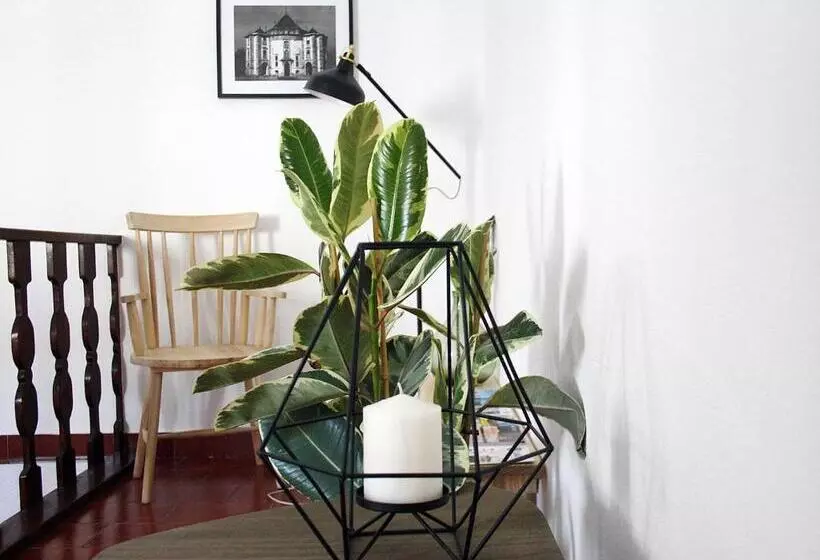 تختخواب و صبحانه Foral Guest House   óbidos