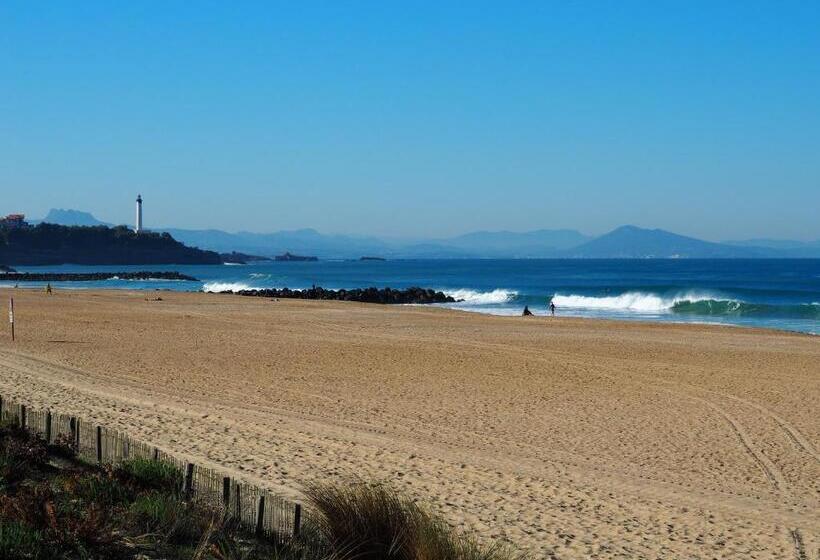 فندق صغير Nami House