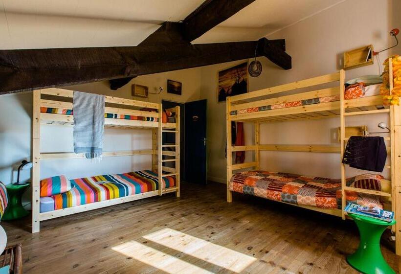 فندق صغير Nami House