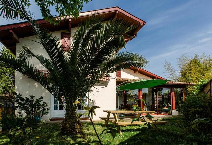 فندق صغير Nami House