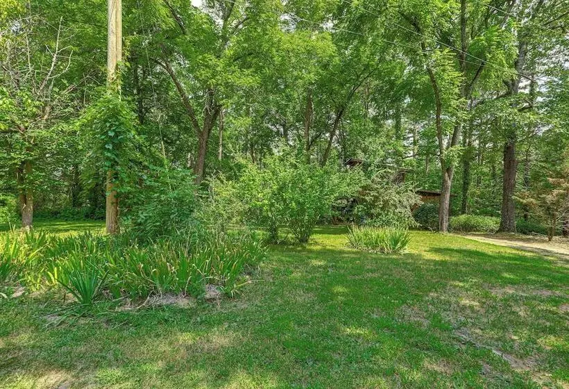 Mountain View Cabin Near White River: Fish & Float
