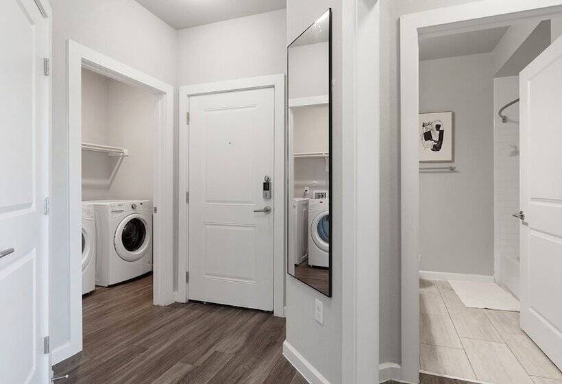 Mission Hill Apartments By Barsala