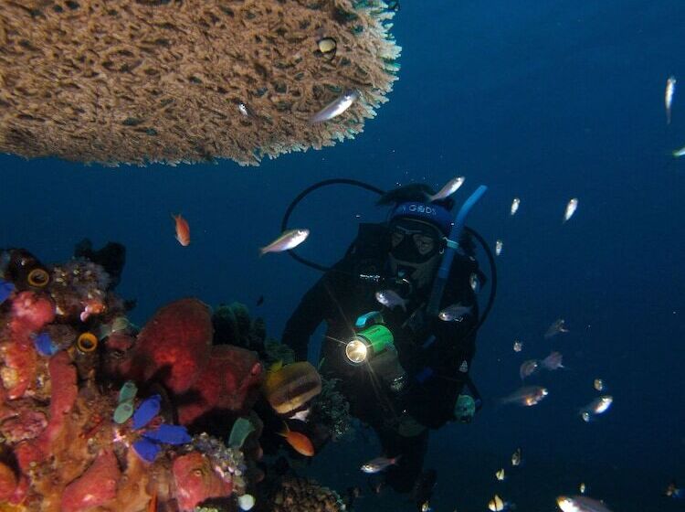 Abwonderdive Beach Resort