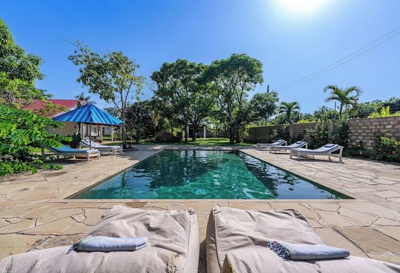 هتل Hibiscus Home & Apartments