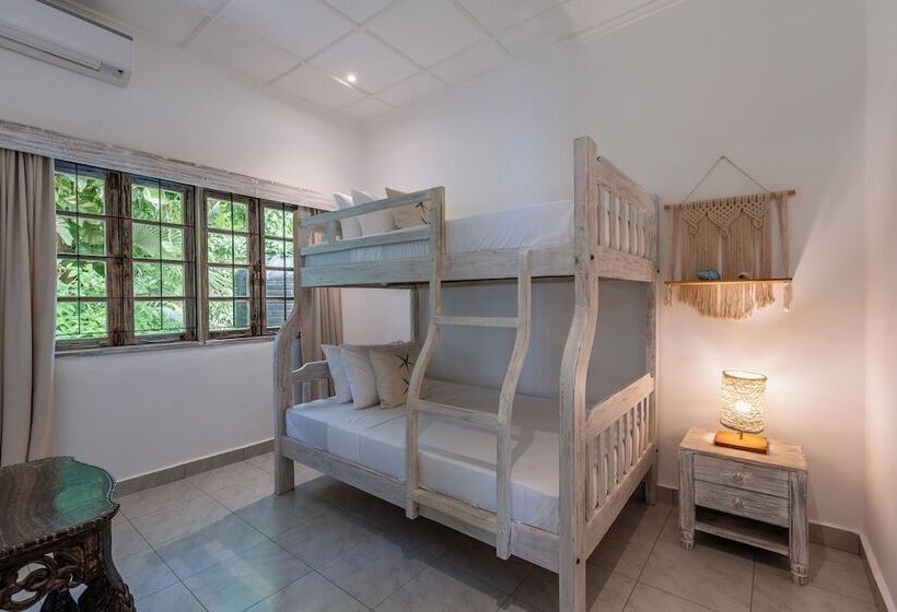 هتل Hibiscus Home & Apartments