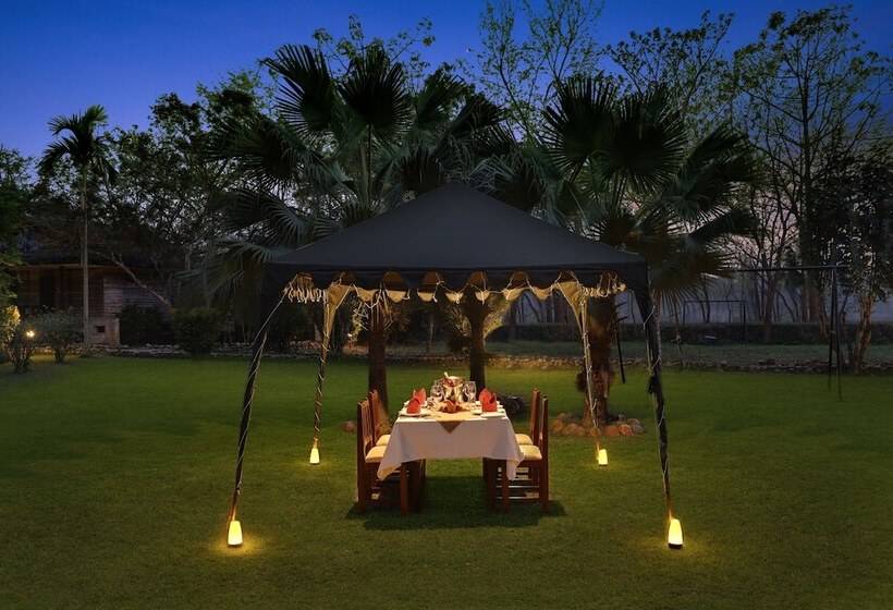 Hotel Tigerland Safari   A Lemon Tree Resort