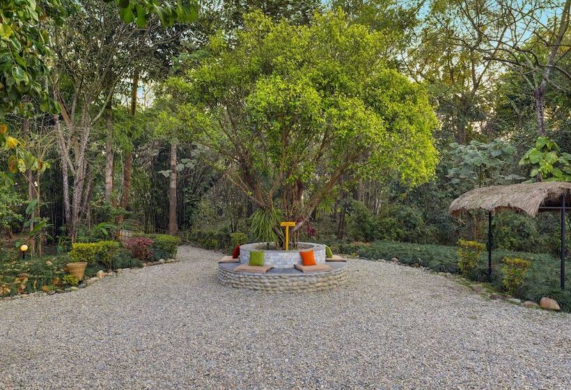 Hotel Tigerland Safari   A Lemon Tree Resort