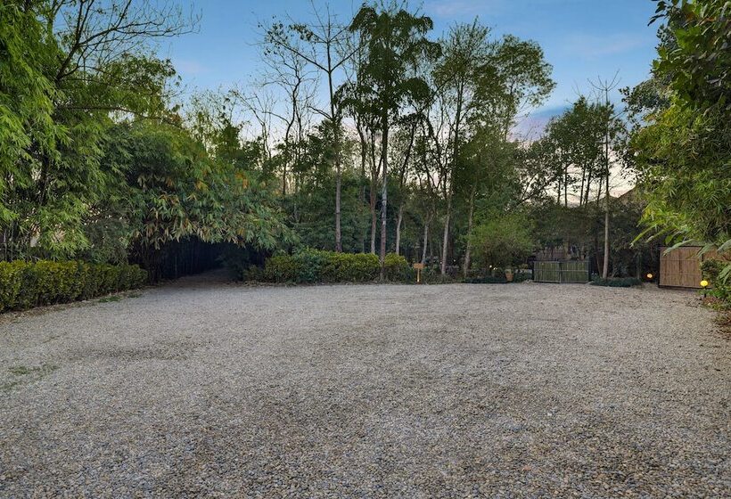 Hotel Tigerland Safari   A Lemon Tree Resort