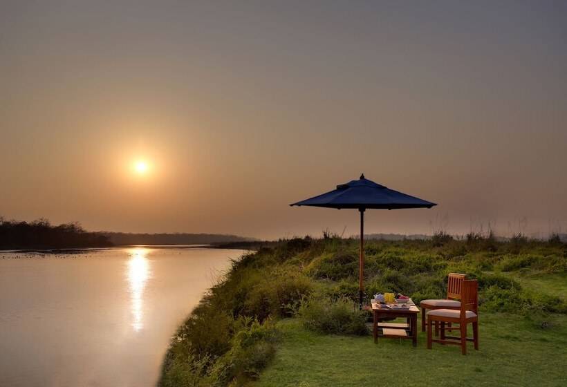 Hotel Tigerland Safari   A Lemon Tree Resort