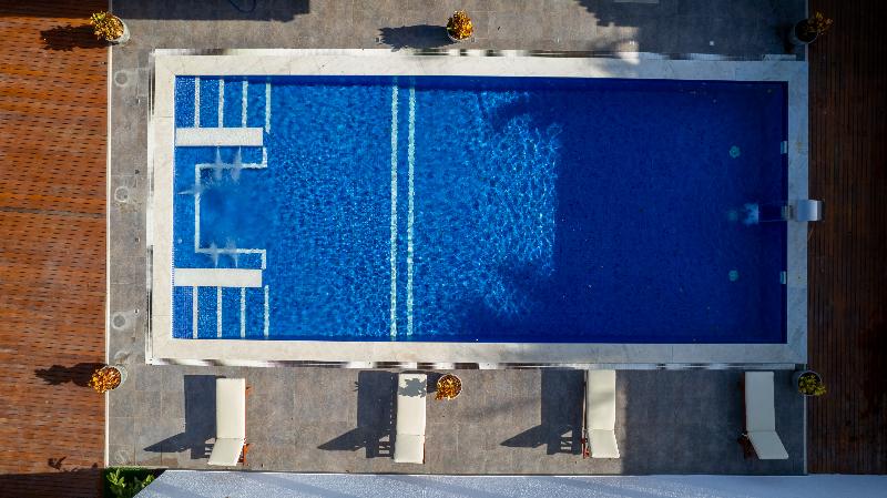 ホテル Villa Alexandre