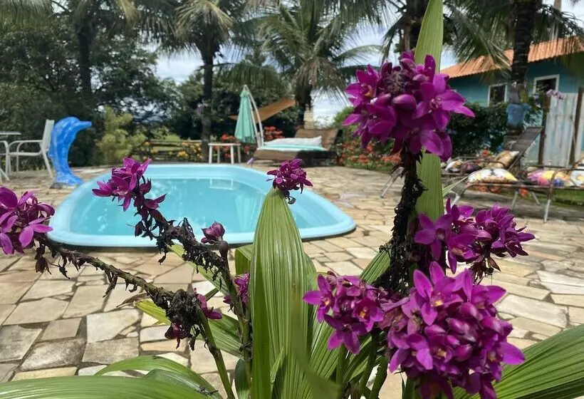 Recanto Das Orquídeas Hospedagem