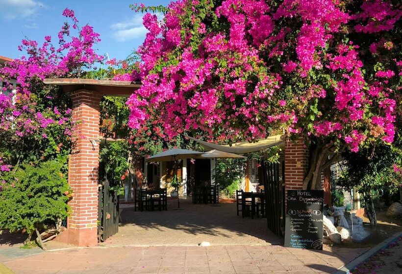 ホテル Casa Bugambilias