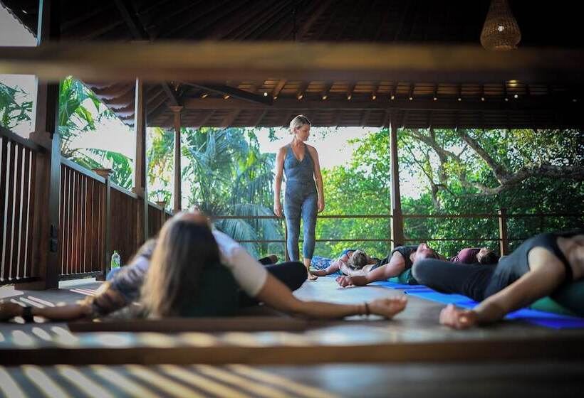 호텔 The Salty Pelican