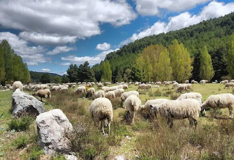 Отель Enclave Soria