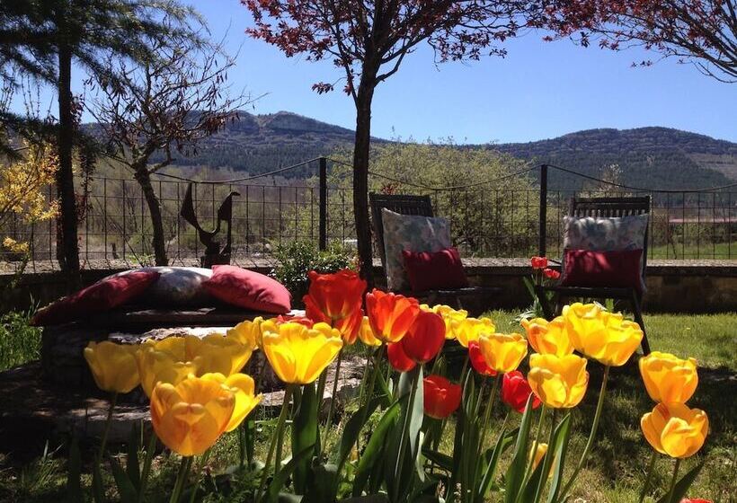 Отель Enclave Soria