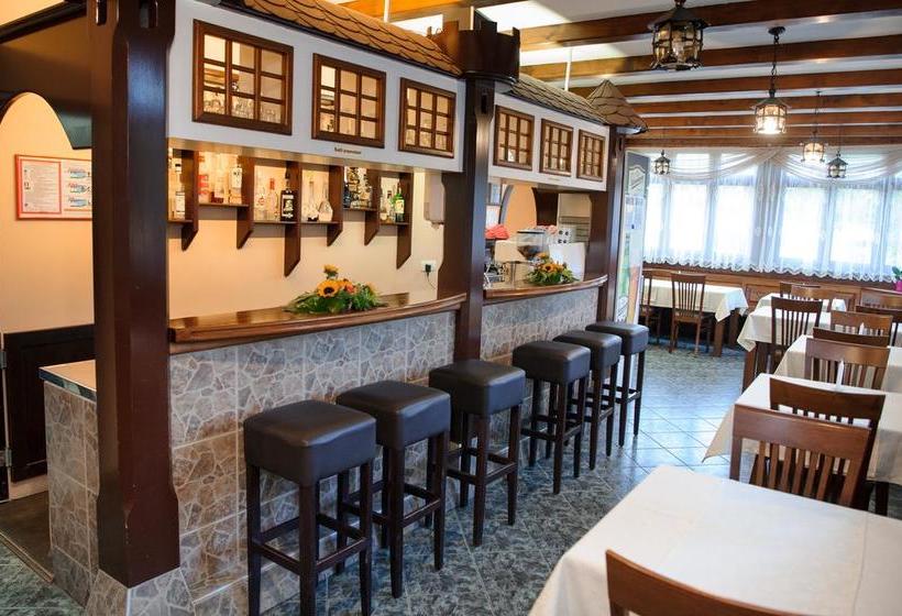 هتل Vila Demetrovic