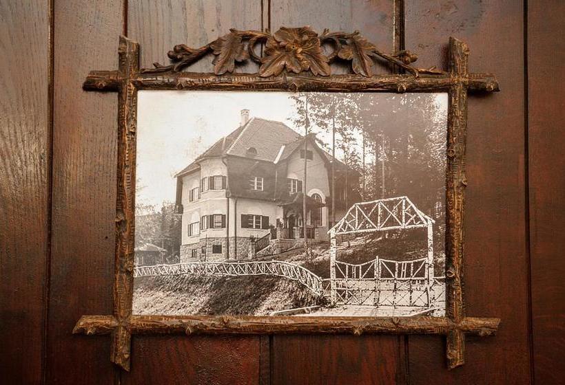 هتل Vila Demetrovic