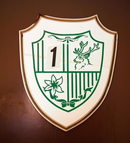 هتل Vila Demetrovic