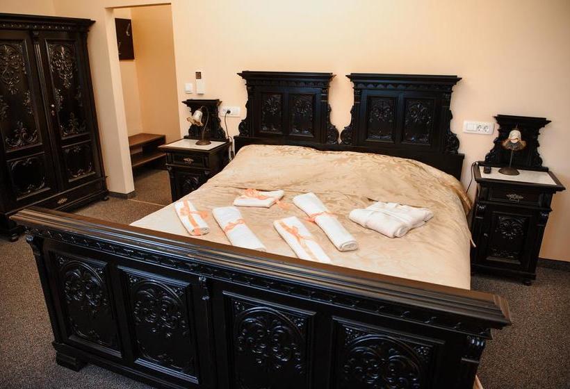 هتل Vila Demetrovic