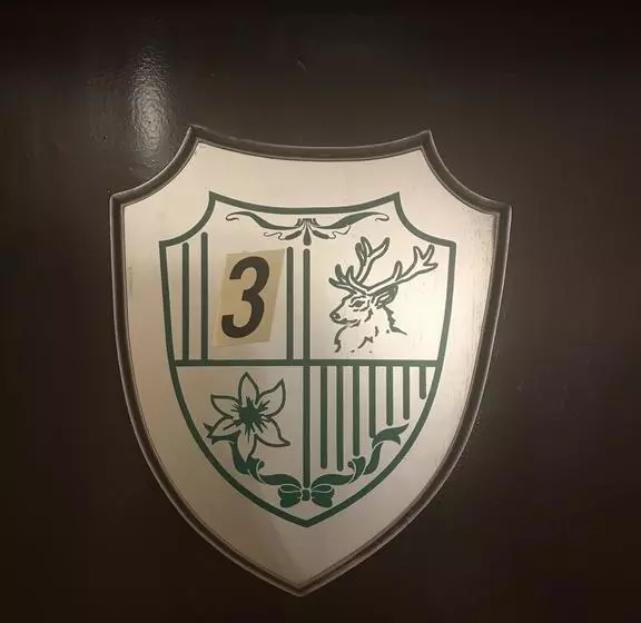 هتل Vila Demetrovic