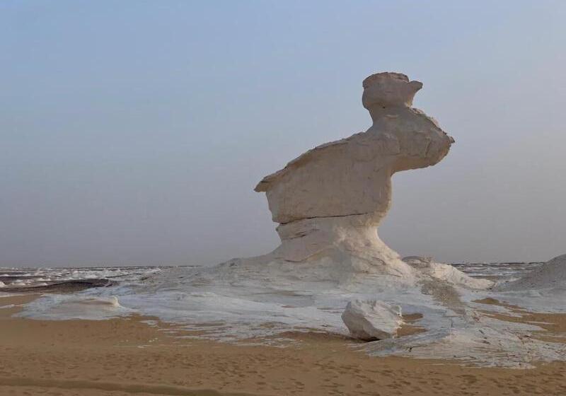 هاستل Happy Land Luxor