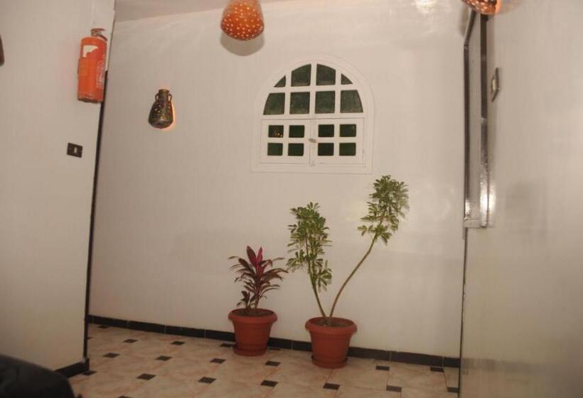 هاستل Happy Land Luxor