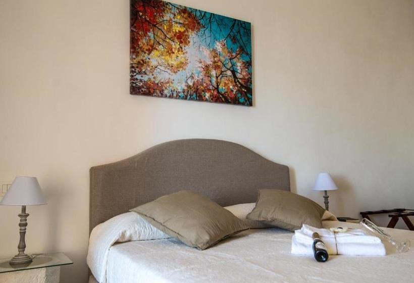 ベッドアンドブレックファースト Assabinidica