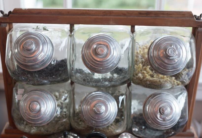 ホテル Alquimista Montevideo