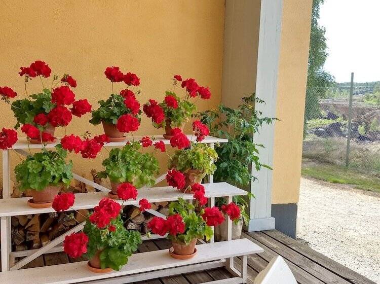 Polhem Bed & Breakfast