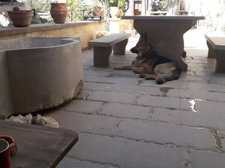 Bed & Breakfast Mozaik Stone