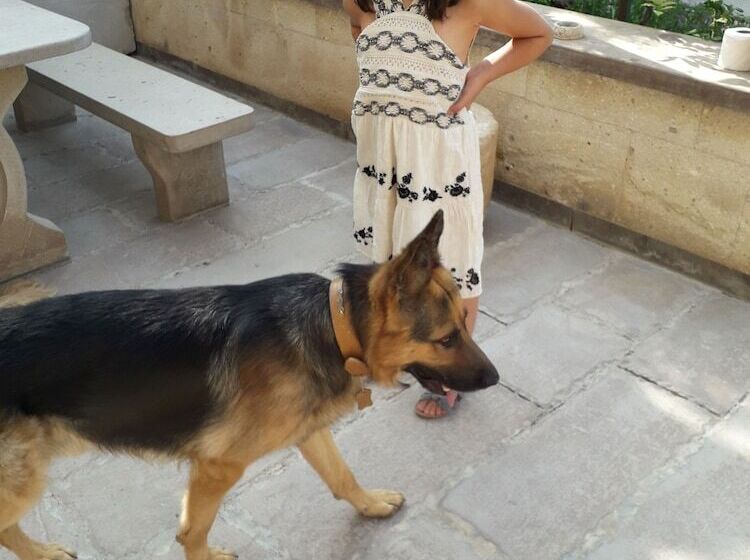 ベッドアンドブレックファースト Mozaik Stone