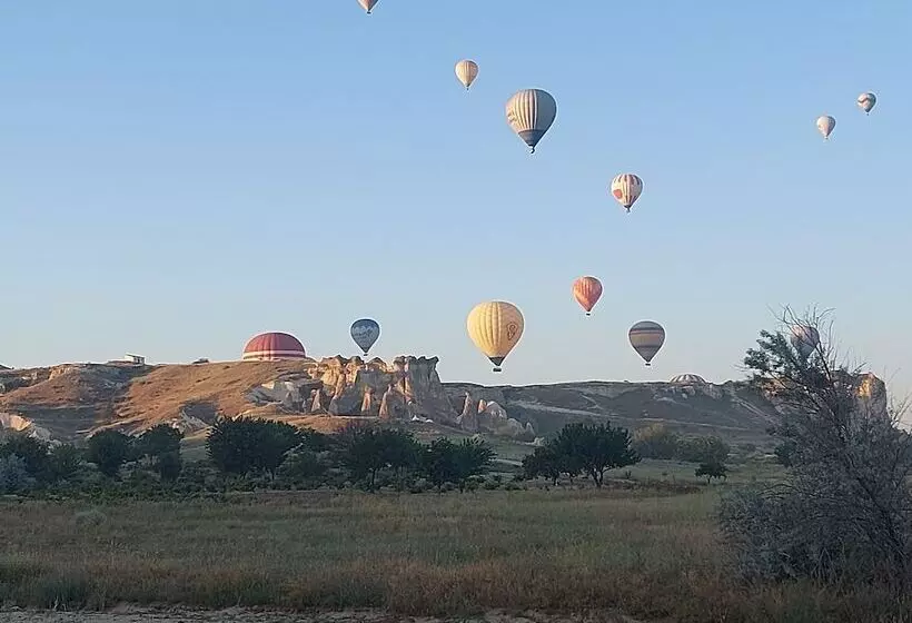 Bed & Breakfast Mozaik Stone