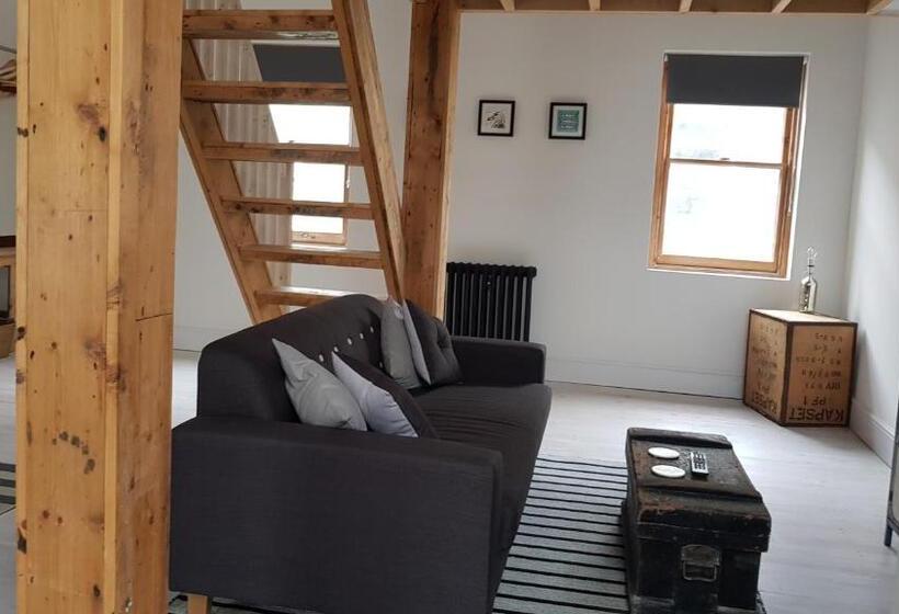 Отель The Antidote