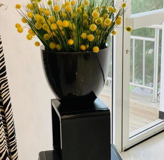 هتل Capital Hôtel